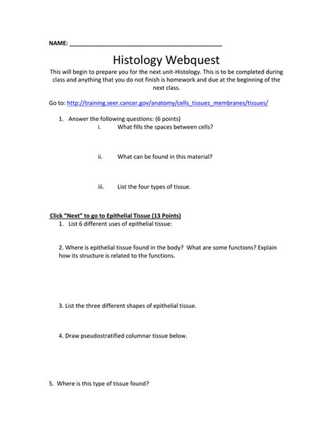 Anatomy Worksheet Epithelial Tissues Part 1 Matching Vocabulary Answers