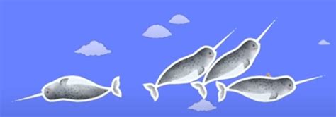 Narwals Timilode On Wiki Fandom
