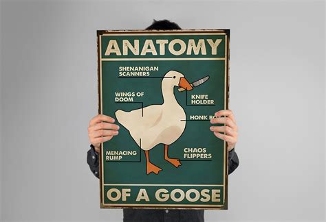 Untitled Goose Game Gaming Poster Hd Color Game Poster Wall Poster Printed Poster Gaming Poster