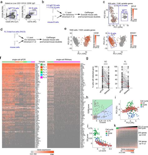 High Throughput Single Cell Rnaseq Analysis Of Human Gc B Cells And Fl