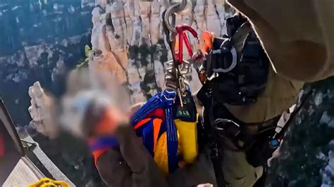 Klötze Mann bei Sex mit Pferd gefilmt Polizei jagt Tierquäler