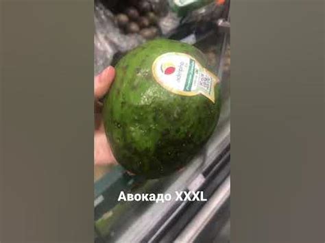 Авокадо ХХХL#short #shorts #avocado #метро #metro #покупки #одесса ...