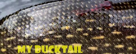 MY bucktail Рыболовные приманки на трофей | МY - приманка-бактейл (Mego ...