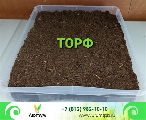 Добрый день, дорогие друзья! Мы хотим Вам предложить низинный торф в ...
