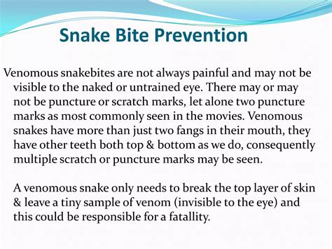 ways to snake scratching easily 8