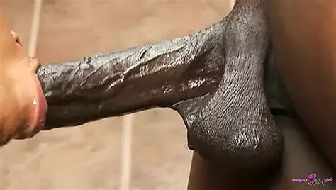 Free Sunshine Porn Videos Xhamster