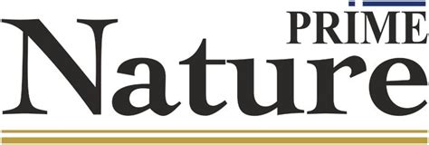 Prime Nature — купить товары Prime Nature в интернет-магазине OZON