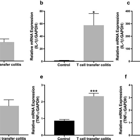 Mrna Expression Of Pro Inflammatory Cytokines Il 1β And Tnf α In Mice