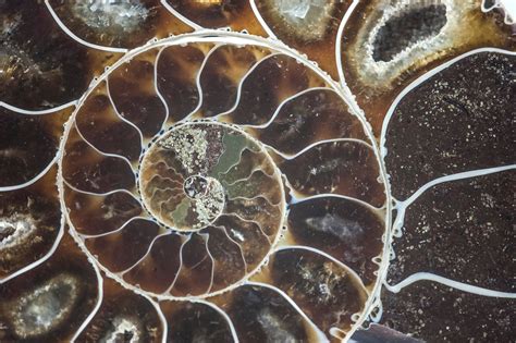 Healing Hearts, Changing Minds, Inc.