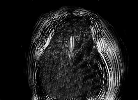 Sketch The Crow Of Edgar Allan Poe By Zoombiiiee On Deviantart