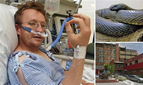Ballarat Man Has Lucky Escape After Bite From His Inland Taipan Snake
