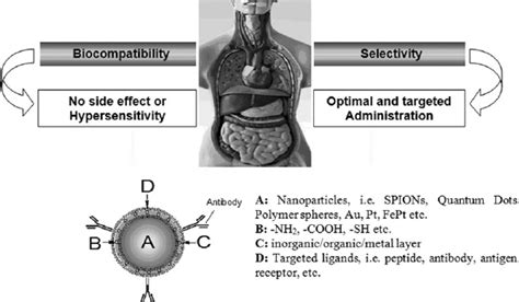 Generalized Schematic Representation Of Nanomedicine Constituents For Download Scientific