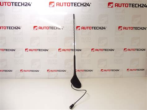 Antenna Citro N Peugeot Jq A Italia