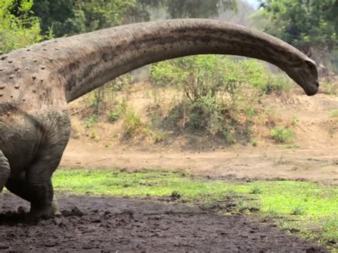 Prehistoric Planet Season 2 Official Trailer Uk Tv Guide