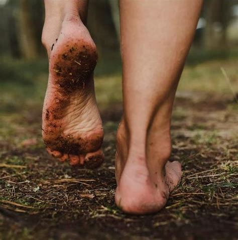 Whats New In Barefooting 2021 Society For Barefoot Living