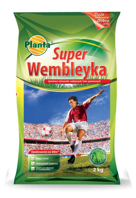 Trawa Super Wembley 2 Kg PLANTA PLANTA Nasiona Traw