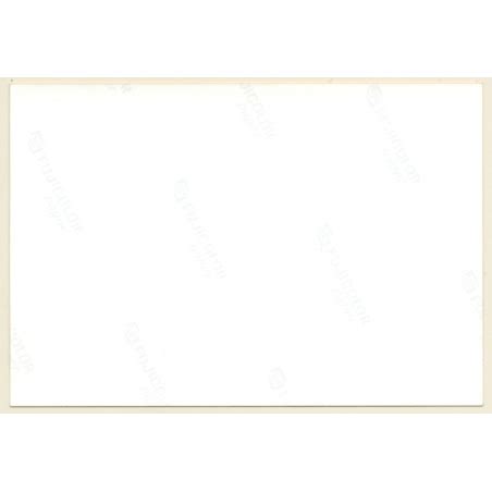 Natural Blonde Nude Lingering On Meadow Vintage Photo GDR S