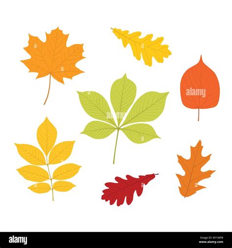 Cartoon Fall Leaves - Using cartoon fall leaves free download crack, warez, password, serial ...