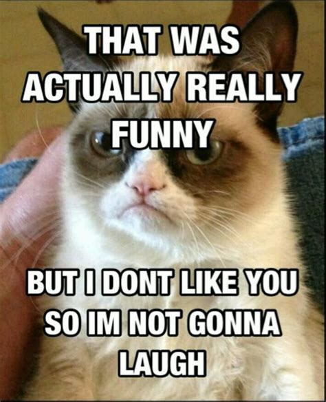 I M Guilty Of This Grumpy Cat Quotes Funny Quotes Funny Grumpy Cat