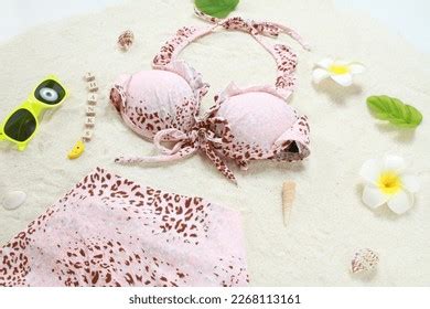 18 510 imágenes de Bikini images girl Imágenes fotos y vectores de stock Shutterstock