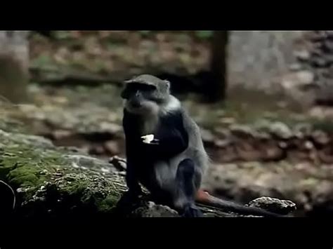 Actrees sex Hollywood actress sex XVIDEOSダウンローダー XVIDEOSの動画をブラウザ上から1クリックでダウンロード