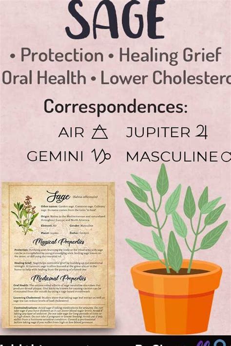 Unlocking the Spiritual Meaning of Sage: A Guide to Its Holistic ...