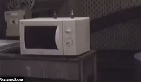Microwave Explosion 