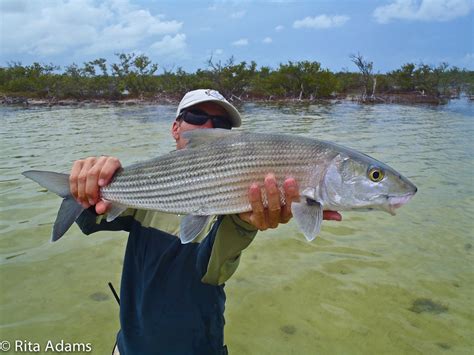 bonefish casa blanca fly fishing