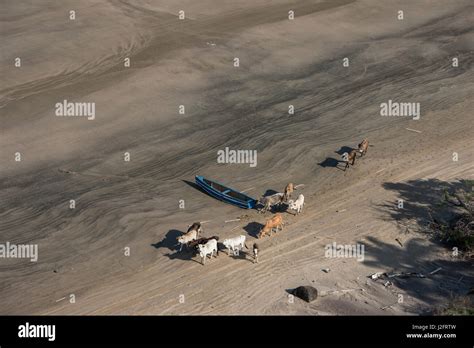Beach And Atlantic Ocean East Guyana Stock Photo Alamy