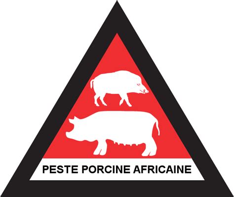 Peste Porcine Africaine Ppa Draaf Bretagne