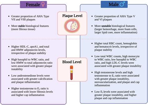 Circulating Sex Specific Immune And Hormone Markers Of Carotid Atherosclerotic Plaque
