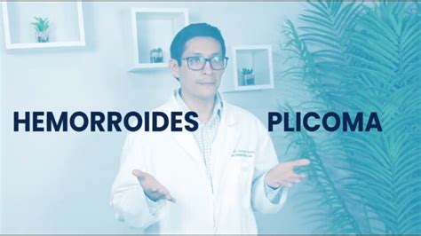 Todo Lo Que Necesitas Saber Sobre El Plicoma Anal