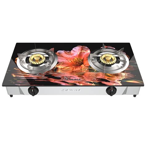 Jamuna Jgs Sb02g Brass Burner Joba Lpg Ng Gas Stove Buy Online In