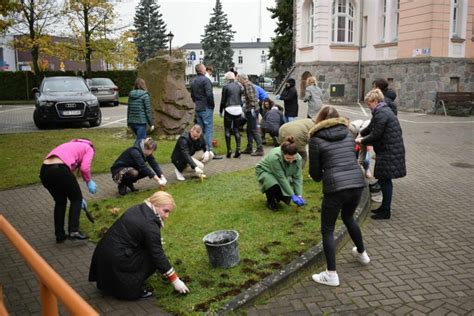 Galeria Kategoria Na Wiosn Zakwitn Tam Krokusy