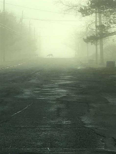 Крипота... | Пикабу