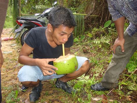 Apakah Air Kelapa Memiliki Efek Magis Pada Kesehatan Apa Yang Terjadi