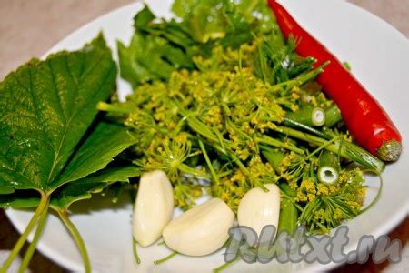 Соленые зеленые помидоры на зиму: 9 фото в рецепте