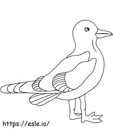 Seagulls Coloring Page