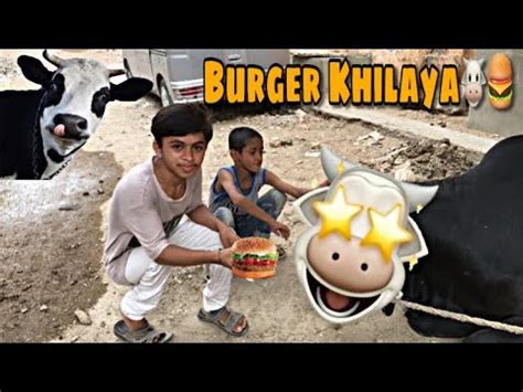 Cow Ko Burgur Khila Diya Bakra Eid Vlogs Cow Vlogs Mandi