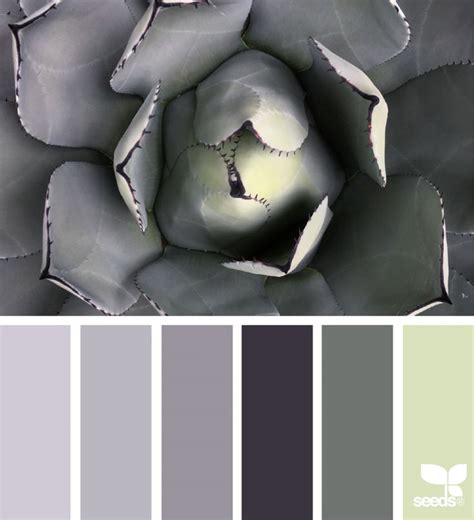 Succulent Tones Fresh Hues Design Seeds Seeds Color Palette