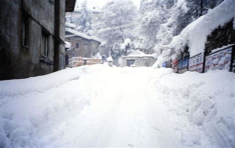 La Nevicata Del Gennaio Foto Di Maurizio Rossi