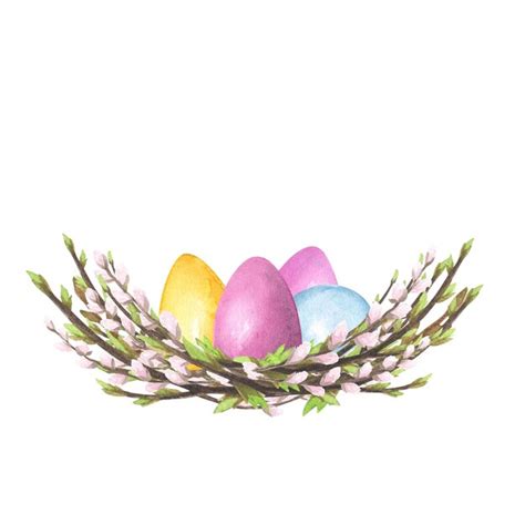 Premium Photo Willow Pussy Nest Watercolor With Colored Eggs Isolated On White Hand Drawing