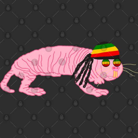 Mole Lover Reggae Naked Mole Rat Hippie Rodent Naked Mole Costume House Flags Sold By