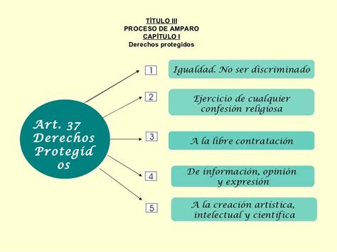 Sesion 3 Y 4 Caracteristicas Generales Del Juicio De Amparo Parte 1 Images