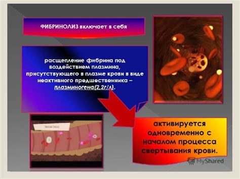 Презентация Фибринолитические средства