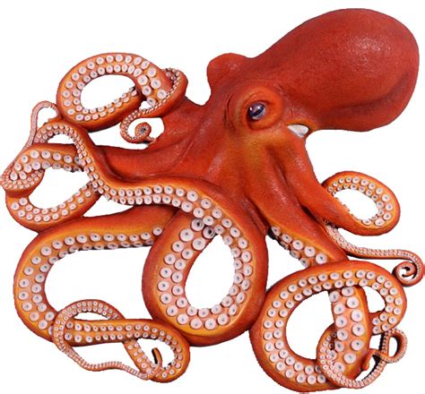 Octopuse Png Transparent Png Mart