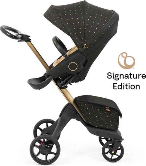 The Most Expensive Stroller Check Out The Top 10 Most Expensive