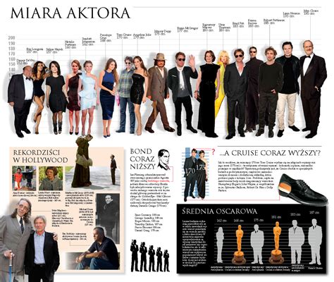 Infographics Hollywood Height Chart Behance