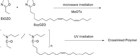 Chemistry Of Oxazolines A Crossing Of Cationic Ringopening