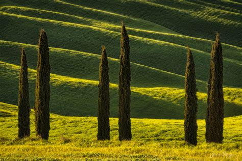 Green Hills Fabrice Petruzzi On Fstoppers